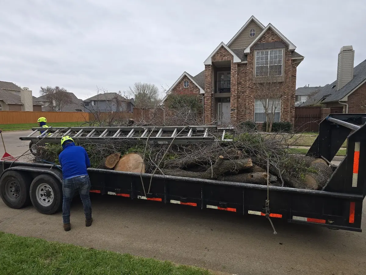 Expert Tree Pest Control with proper safety equipment in Rio Grande